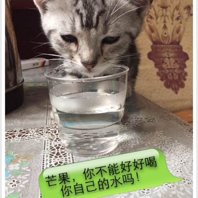 九州情報大学成绩单修改